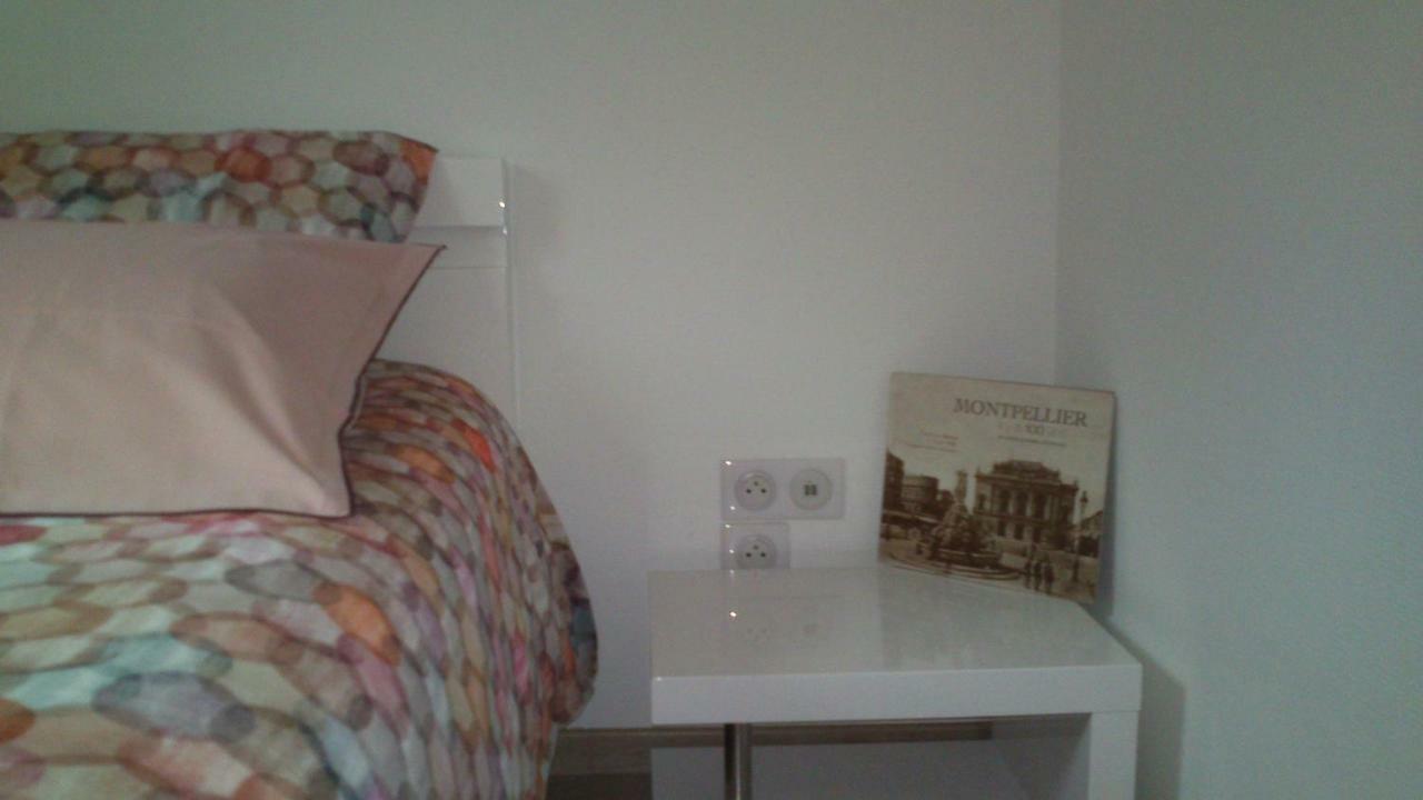 Montcalm Climatise En Plein Ecusson Apartment Montpellier Luaran gambar